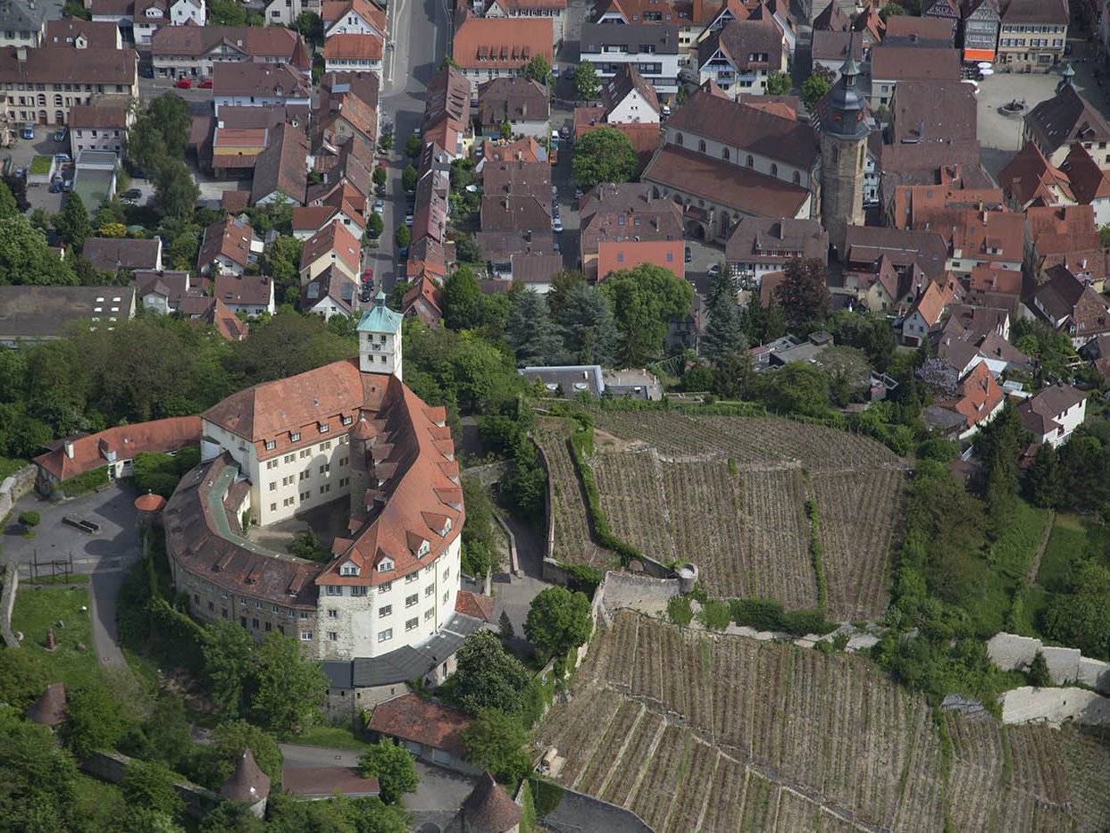 Schloss Kaltenstein von oben