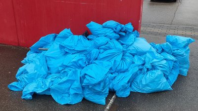 Jugendgemeinderat sammelt Müll mit Schulen