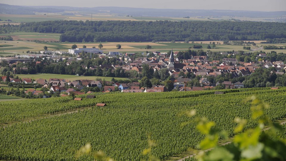 Blick von Feld auf Horrheim
