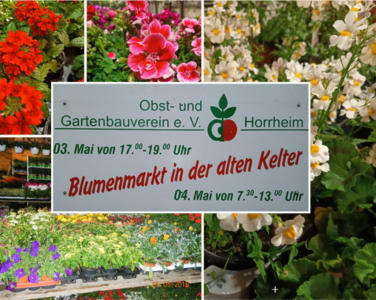 Großer Horrheimer Blumenmarkt