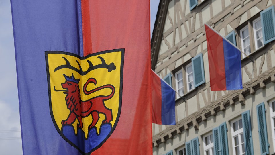 Blau-rote Fahnen mit Vaihinger Logo vor Rathaus